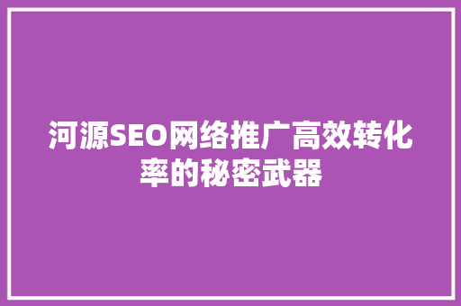 河源SEO网络推广高效转化率的秘密武器