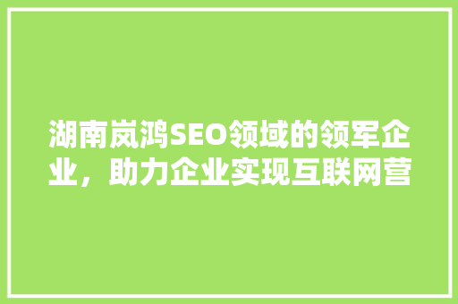 湖南岚鸿SEO领域的领军企业，助力企业实现互联网营销新高度