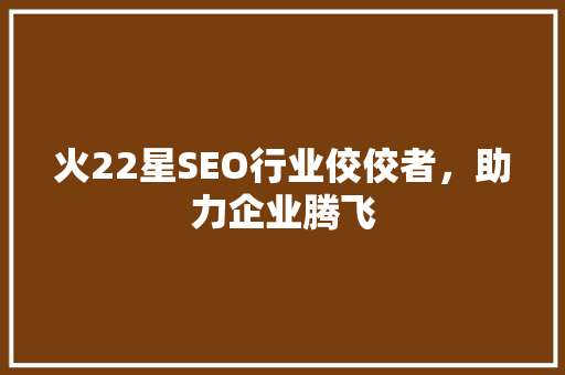 火22星SEO行业佼佼者，助力企业腾飞