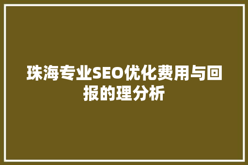 珠海专业SEO优化费用与回报的理分析