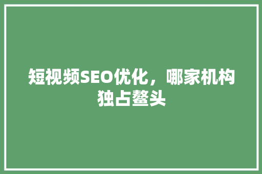 短视频SEO优化，哪家机构独占鳌头