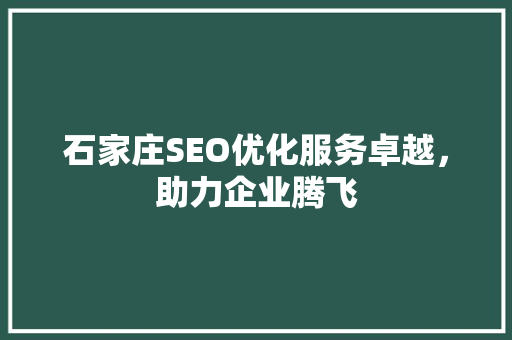 石家庄SEO优化服务卓越，助力企业腾飞