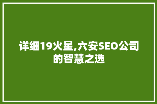 详细19火星,六安SEO公司的智慧之选