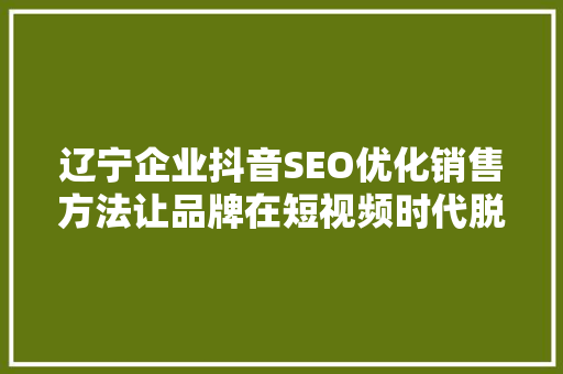 辽宁企业抖音SEO优化销售方法让品牌在短视频时代脱颖而出