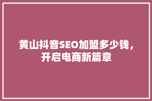 黄山抖音SEO加盟多少钱，开启电商新篇章
