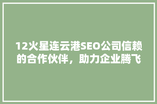 12火星连云港SEO公司信赖的合作伙伴，助力企业腾飞