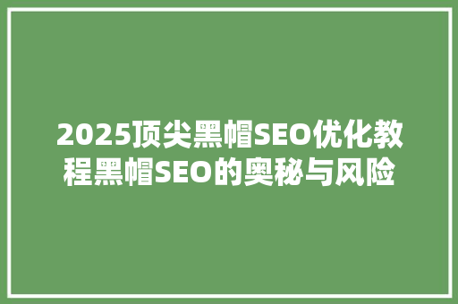 2025顶尖黑帽SEO优化教程黑帽SEO的奥秘与风险