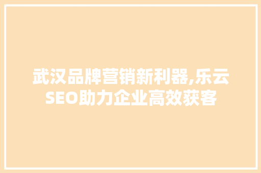 武汉品牌营销新利器,乐云SEO助力企业高效获客