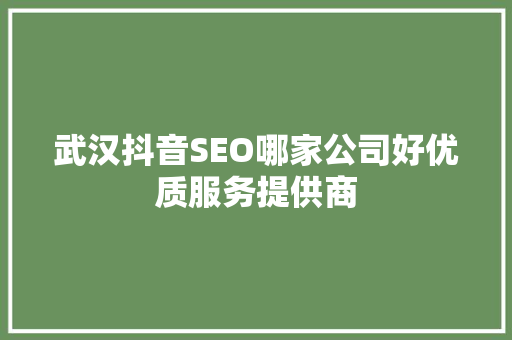 武汉抖音SEO哪家公司好优质服务提供商