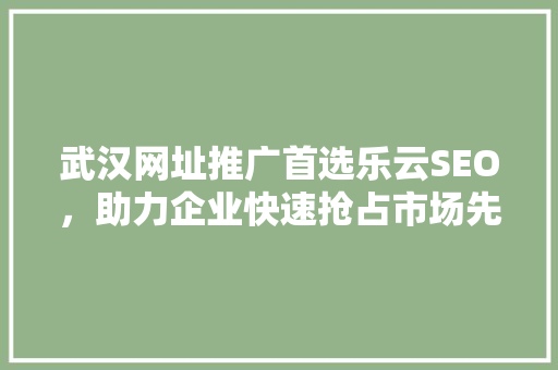 武汉网址推广首选乐云SEO，助力企业快速抢占市场先机