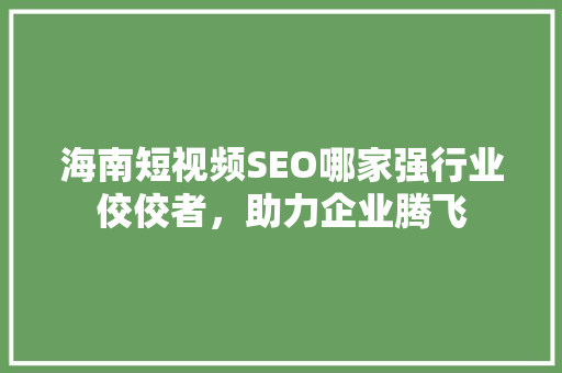 海南短视频SEO哪家强行业佼佼者，助力企业腾飞