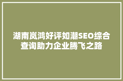湖南岚鸿好评如潮SEO综合查询助力企业腾飞之路