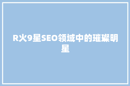 R火9星SEO领域中的璀璨明星