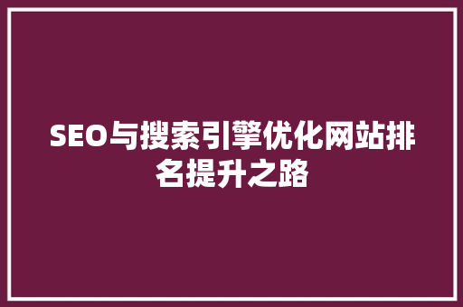 SEO与搜索引擎优化网站排名提升之路