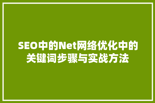 SEO中的Net网络优化中的关键词步骤与实战方法  第1张