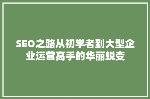 SEO之路从初学者到大型企业运营高手的华丽蜕变  第1张