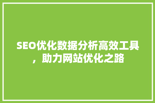 SEO优化数据分析高效工具，助力网站优化之路