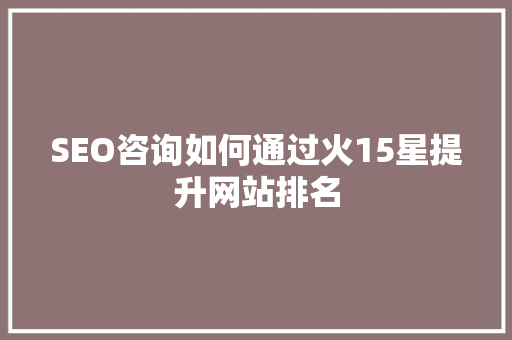 SEO咨询如何通过火15星提升网站排名