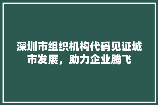 深圳市组织机构代码见证城市发展，助力企业腾飞
