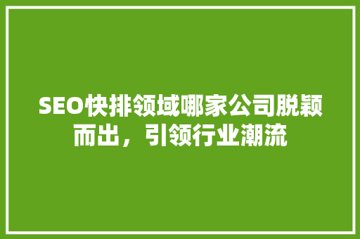 SEO快排领域哪家公司脱颖而出，引领行业潮流