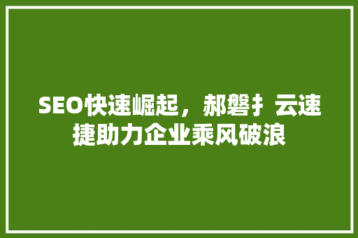 SEO快速崛起，郝磐扌云速捷助力企业乘风破浪