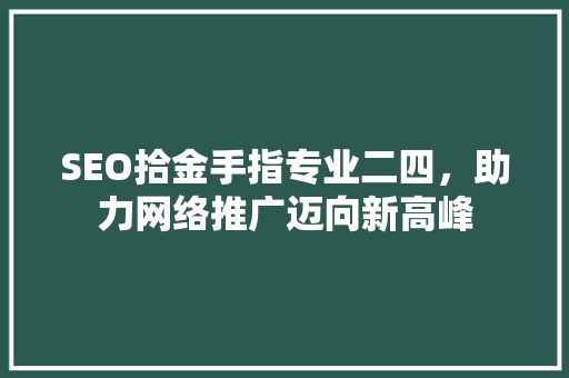 SEO拾金手指专业二四，助力网络推广迈向新高峰