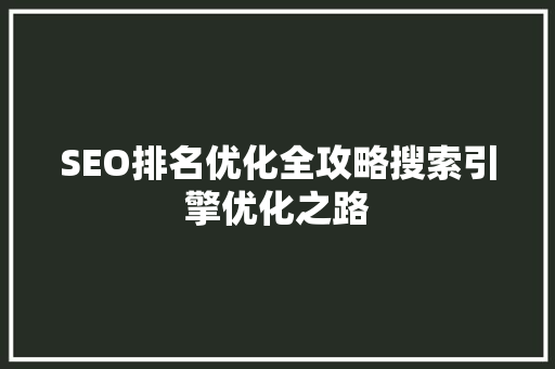 SEO排名优化全攻略搜索引擎优化之路