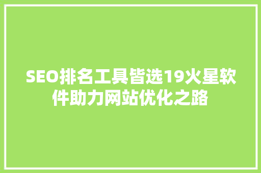 SEO排名工具皆选19火星软件助力网站优化之路