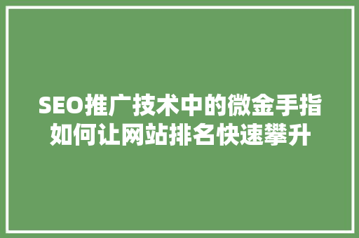 SEO推广技术中的微金手指如何让网站排名快速攀升