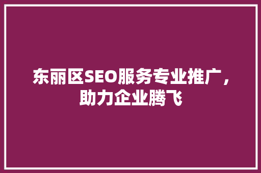 东丽区SEO服务专业推广，助力企业腾飞