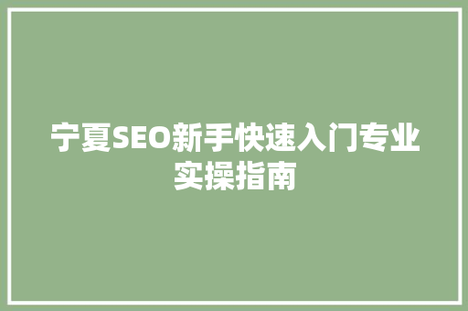 宁夏SEO新手快速入门专业实操指南