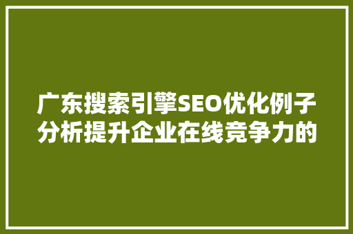 广东搜索引擎SEO优化例子分析提升企业在线竞争力的方法