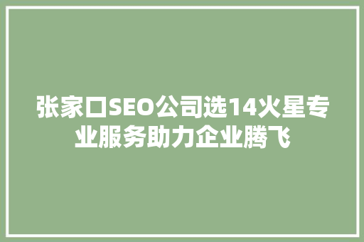 张家口SEO公司选14火星专业服务助力企业腾飞