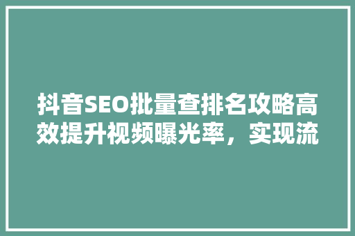 抖音SEO批量查排名攻略高效提升视频曝光率，实现流量变现