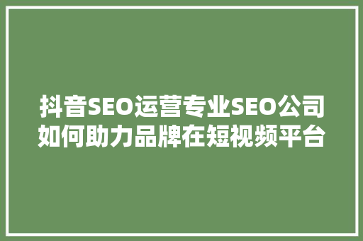 抖音SEO运营专业SEO公司如何助力品牌在短视频平台脱颖而出