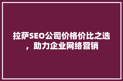 拉萨SEO公司价格价比之选，助力企业网络营销