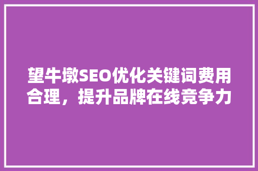 望牛墩SEO优化关键词费用合理，提升品牌在线竞争力