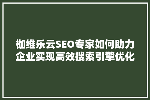 枷维乐云SEO专家如何助力企业实现高效搜索引擎优化