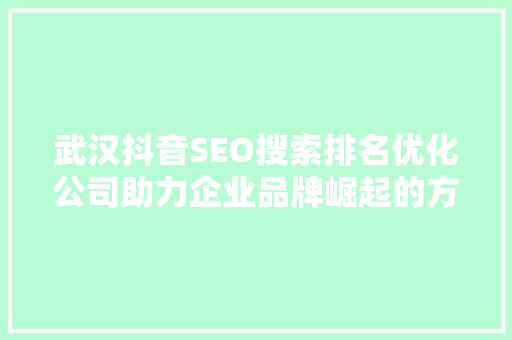 武汉抖音SEO搜索排名优化公司助力企业品牌崛起的方法之路