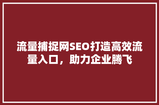流量捕捉网SEO打造高效流量入口，助力企业腾飞