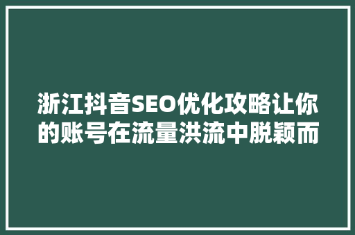 浙江抖音SEO优化攻略让你的账号在流量洪流中脱颖而出