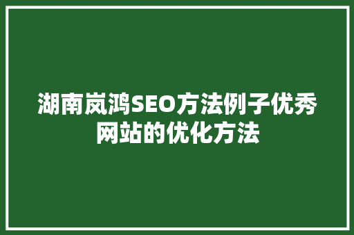 湖南岚鸿SEO方法例子优秀网站的优化方法