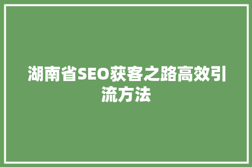 湖南省SEO获客之路高效引流方法