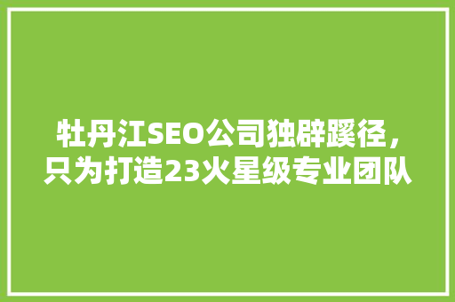 牡丹江SEO公司独辟蹊径，只为打造23火星级专业团队