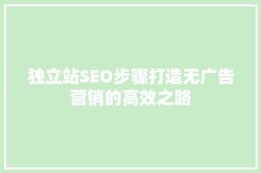 独立站SEO步骤打造无广告营销的高效之路