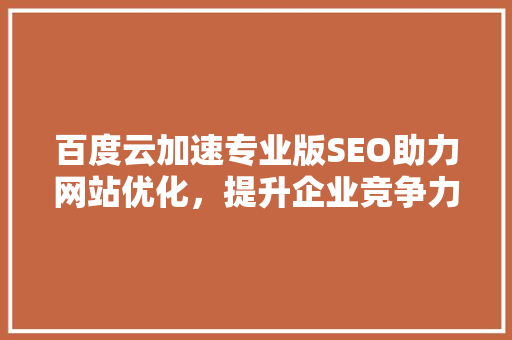 百度云加速专业版SEO助力网站优化，提升企业竞争力