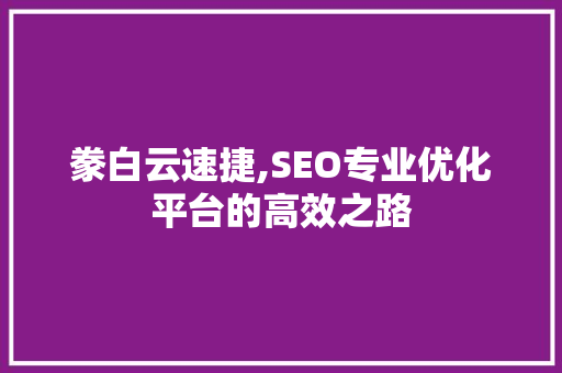 豢白云速捷,SEO专业优化平台的高效之路