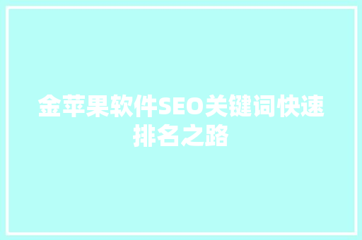 金苹果软件SEO关键词快速排名之路