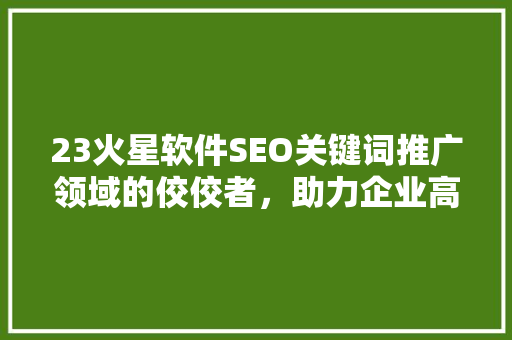 23火星软件SEO关键词推广领域的佼佼者，助力企业高效营销