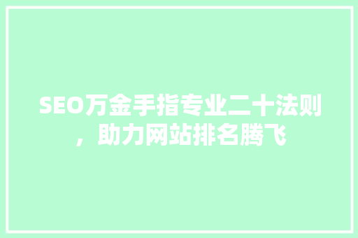 SEO万金手指专业二十法则，助力网站排名腾飞